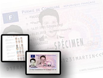 Réalisation de photos d'identité et photos numérisées pour permis de conduire
